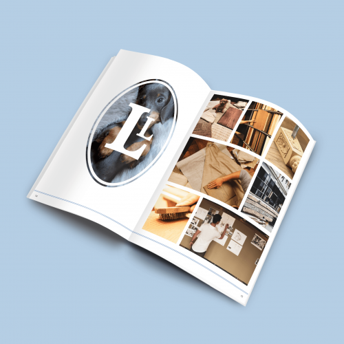 LordLou levert exclusief meubilair voor huisdieren. Logo restyle, huisstijl doorvertaling en magazine ontwerp.